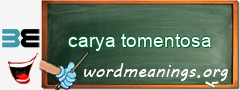 WordMeaning blackboard for carya tomentosa